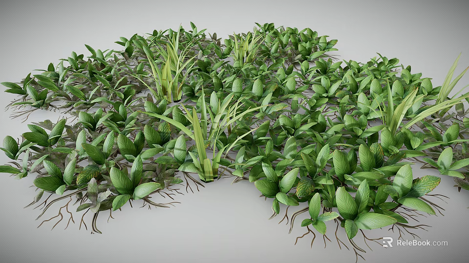 Lush Green Plants With Vibrant Leaves And Exposed Roots Growing Densely Together 3d model 