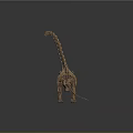 Long Neck Dinosaur Skeleton Standing With Gray Background And Floor Reflection 3d model