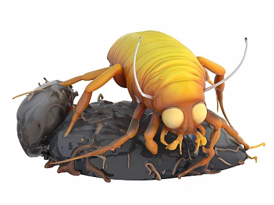 Yellow Cockroach Insect With Large Eyes Antennae On Black Substance 3d model