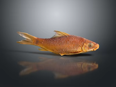 Golden Scaled Fish Decoration Ornament For Home Living Room Use 3d model