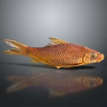 Golden Scaled Fish Decoration Ornament For Home Living Room Use