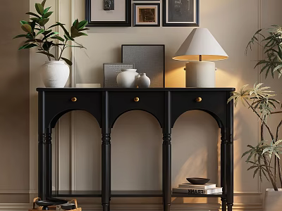 Black Console Table with Drawers Decorative Items White Vase Lamp Plants and Wall Framed 3d model