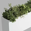 Various Green Potted Plants Arranged In White Rectangular Planter With Lush Foliage 3d model