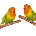 Two Colorful Lovebirds Perched On Wooden Branches With Green And Orange Feathers