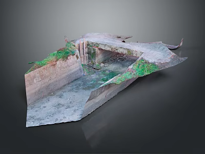 Modern Landscape 3D Model Featuring Sunken Depression With Green Vegetation And Moist Ground 3d model