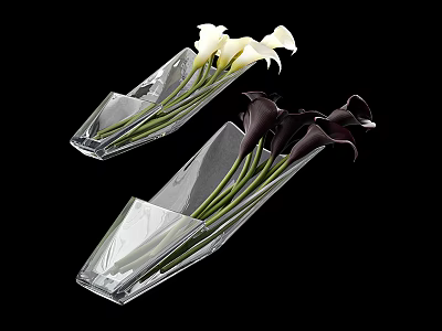 Clear Glass Rectangular Vases With White And Black Calla Lily Blooms On Black Background 3d model
