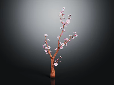 Pink Flowering Tree Branch With Brown Stem And Blooms Against Dark Background 3d model