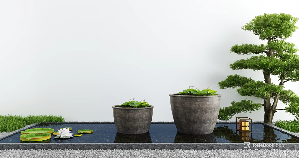 Courtyard Garden Design With Gray Planters Green Plants Water Feature White Lotus And Trimmed Pine 3d model 