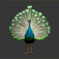 Majestic Peacock Displaying Vibrant Green And Blue Fanned Tail Feathers With Eye Spots