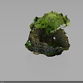 Ancient Stone Ruins Surrounded By Wooden Trees And Moss Covered Stones