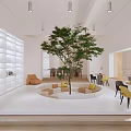 Modern Casual Area Interior With Circular Seating Large Tree Orange Yellow Chairs And White Shelves