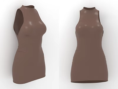 Stylish Brown Sleeveless High Neck Fitted Dress For Modern Women 3d model