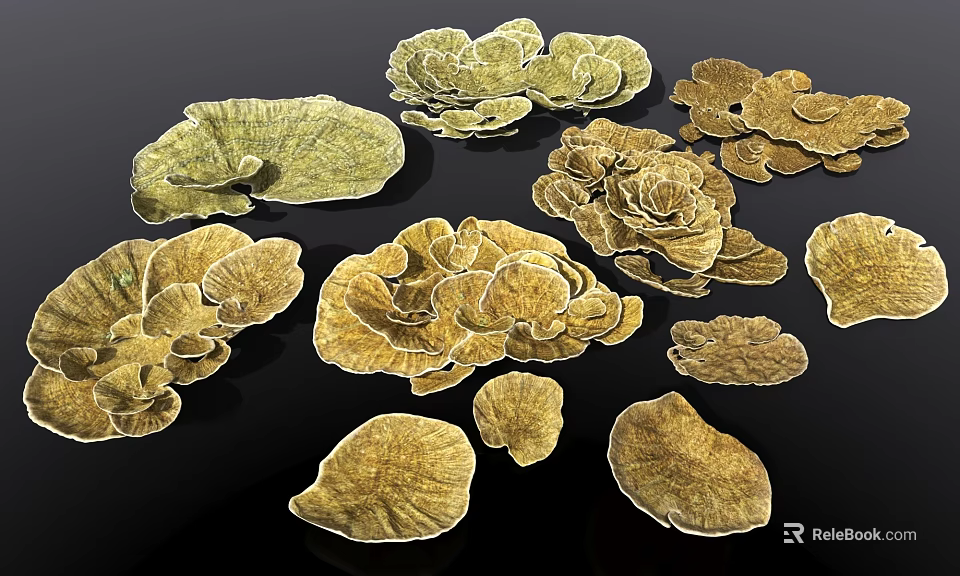 Enhance Your Aquarium Fish Tank with Golden Seaweed Coral Shaped Decorations 3d model 