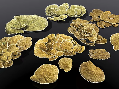 Enhance Your Aquarium Fish Tank with Golden Seaweed Coral Shaped Decorations 3d model