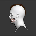 Realistic 3D Human Head Model Featuring Detailed Facial Features Brown Mohawk Hairstyle And Beard