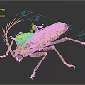 Vibrant Metallic Insect Character With Iridescent Colors Glowing Antennae And Shiny Legs