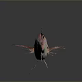 Vibrant Pink Fish with Yellow Stripes and Colorful Fins Displaying Reflection on Gray Background