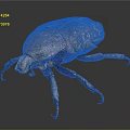 Brown Shiny Beetle Crawling On Dark Background With Detailed Exoskeleton Close Up View