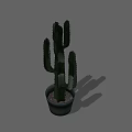 Tall Green Cactus Potted Plant in Gray Pot for Indoor Decoration