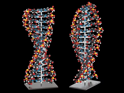 Decorative DNA Double Helix Ornament Set With Colorful Molecular Models And Metal Base 3d model