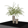 Modern Minimalist Beige Ceramic Vase with Green Foliage on Black Table Top