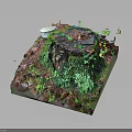 Wood and Stone Miniature Landscape With Moss Covered Stump And Small Plants