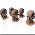 Male Head Models With Bald Heads And Various Facial Features