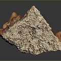 Natural Wood Stone Formation With Spike Like Structures And Brown Orange Hues