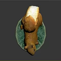 Orange Squirrel Game and Movie Character With Fluffy Tail On Green Base Statue