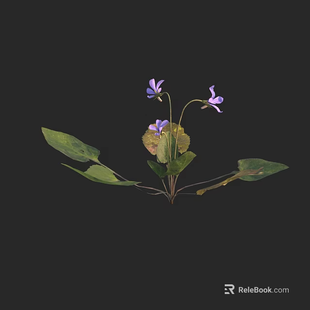 Fresh Blooming Purple Flowers With Green Leaves On Black Background 3d model 