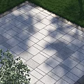 Garden Path Paving With Patterned Tiles Grass and Trees in Landscape