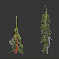 Fresh Various Herbs With Green Leaves And Red Berries Arranged
