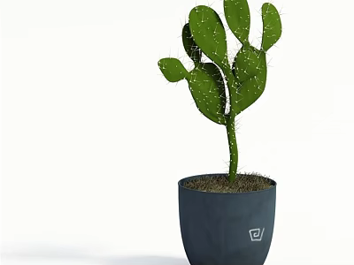 Green Thorny Cactus Potted Plant In Modern Gray Pot With Small Logo 3d model