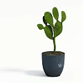 Green Thorny Cactus Potted Plant In Modern Gray Pot With Small Logo