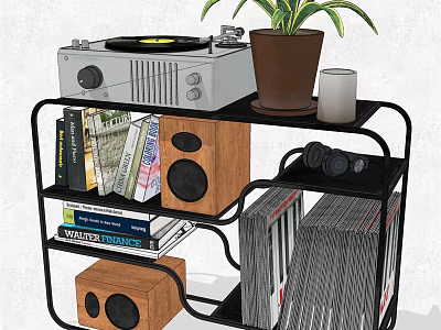 Modern Storage Shelf with Turntable Plant Candle Books Speakers and Vinyl Records 3d model