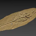 Ancient Aquatic Reptile Fossil Skeleton As Game Movie Character Inspiration