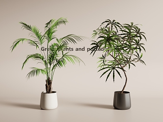 Modern Potted Plant Green Plant Potted Plant Green Plant 3d model