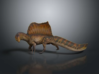 Spinosaurus Dinosaur With Brown And Yellow Skin Sail Back And Long Tail 3d model