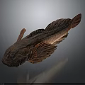 Vibrant Red And Brown Fish With Large Eyes And Distinctive Fins On Gray Gradient Background