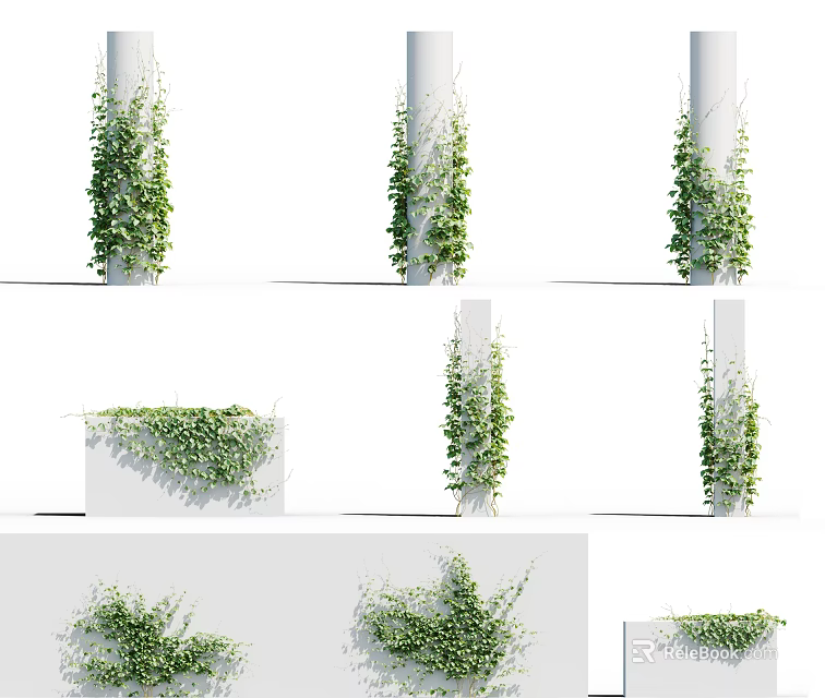 Green Climbing Vines In Various Forms On Columns And Walls For Decor 3d model