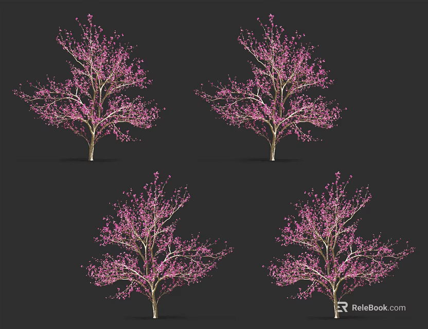 Four Stunning Pink Flowering Trees With Vibrant Blossoms In Dark Setting 3d model 