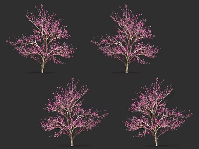 Four Stunning Pink Flowering Trees With Vibrant Blossoms In Dark Setting 3d model