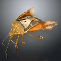 Detailed Brown And Orange Insect With Transparent Wings And Body On Dark Background