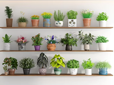 Varied Potted Bonsai Plants Displayed on Wooden Shelves with Different Ceramic Pots and Green Foliage 3d model