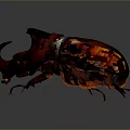 Red Beetle With Large Horned Head And Shiny Body On Dark Background