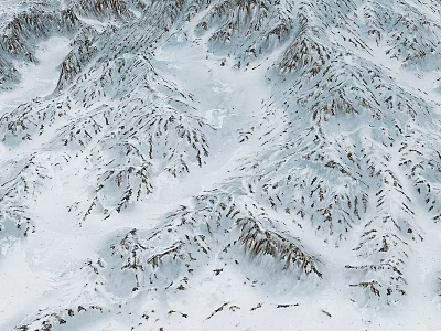 Serene Garden Landscape With Snowy Mountain Views And Natural Scenery Design 3d model