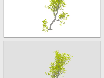 Green Leafy Arbor With Natural Curved Branches And Lush Foliage 3d model