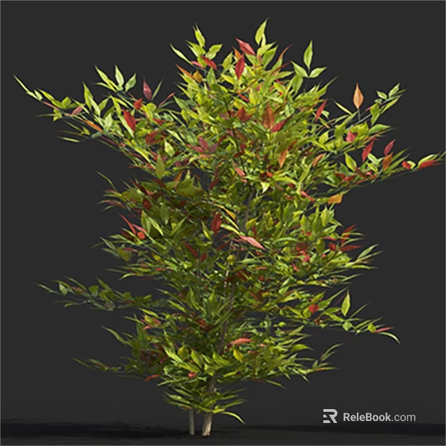 Vibrant Garden Shrub With Green And Red Leaves For Landscaping Design 3d model 
