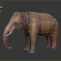 3D Elephant Model With Brown Skin Ivory Tusks And Dark Background Reflection 3d model