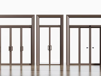 Modern Double Door Interior Design With Glass Panels And Metal Frames 3d model